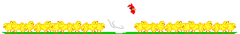 Gif barra pulcini