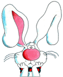 Immagini coniglio